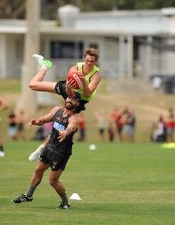 20130130_daniher_p.jpg
